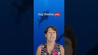 Amazing Did You Know Facts Shorts - Scuba Diving Facts Edition