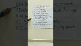 10 Lines on my pet 🐰 rabbit | Learn essay speech on 🐰 rabbit#shorts |Shailly Singh