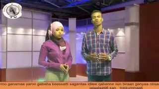 QGTV