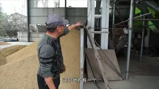 露天晾晒稻谷已经过去，现代化烘干除杂设备普及，1个小时达标送国家粮库！