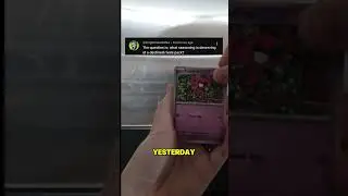 Задание &laquo;Ежедневный набор 2026&raquo; &mdash; Открывайте набор Pok&eacute;mon КАЖДЫЙ ДЕНЬ! 🔥