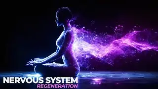 741Hz + 528Hz | Nervous System Reset | Deep Healing for Mind, Body & Energy