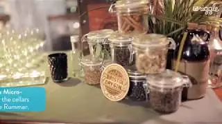 Bristol's Hidden Underground Gin Bar