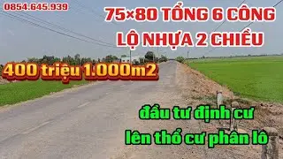Số114/ 6 công đất thích hợp định cư đầu tư phân Lô Nhà Vườn lộ lớn lh 0854645939