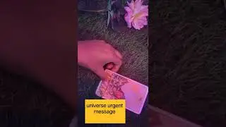 UNIVERSE URGENT GUIDANCE.💕#tarot #tarotreaders ❤️