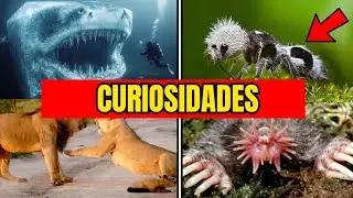 Curiosidades de Animales Salvajes que Nadie Conoce y Debes Saber