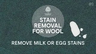 How to Remove Stains from Wool Clothes &ndash; Egg and Milk