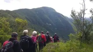 Anz&ugrave;, Monte Miesna, riserva Celarda