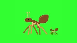 Animated Ants Green Screen #greenscreen