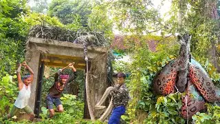 Horrible Cleaning: Big PYTHON Protects Overgrown House - Hunter vs Giant Python!!! Animal Rescue