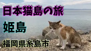 【日本猫島の旅】　福岡県糸島市「姫島」