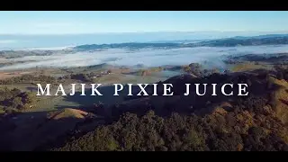 majik pixie juice  - The Past