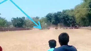 Piyala kawedanan pamekkasan