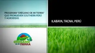 Programa Oregano de Mi Tierra - HD