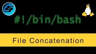 File Concatenation (cat) - Bash Scripting