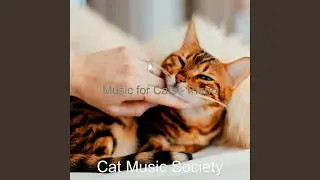 Friendly Cats