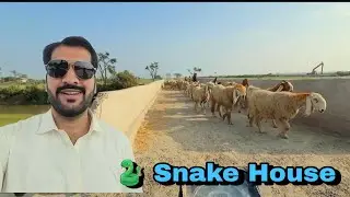 Gaon Me 🐍 Snake ne Ghr Bna Liya | Ramzan Mubarak