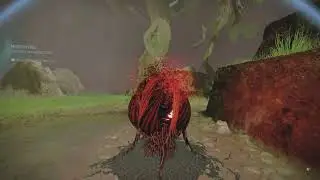 Post dual destiny FAAFO