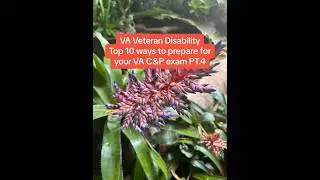 VA Veteran Disability What should a well-crafted nexus letter include? PT2