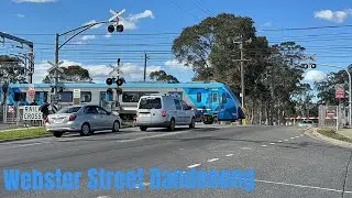 Trains through Webster street Level Crossing [the last one before the Metro Tunnel opens)