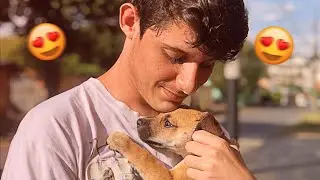 MEU NOVO CACHORRINHO 😍