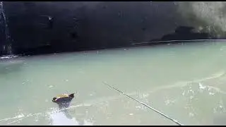 mancing babon uceng