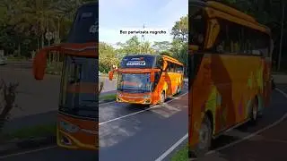 Bus pariwisata nugroho jetbus 3+ shd  #busmania #shorts #buspariwisata