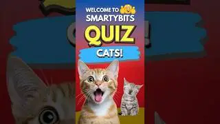 Guess the Cats Quiz😽😻😽 | SmartyBits | #catquiz #cats #triviatricks