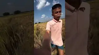 Village nature ❤️❤️#reelviral #reelsinstagram #assampolice