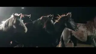 Xtreme Broncs | Visit Rapid City