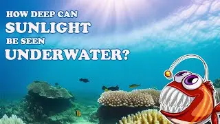 How deep can sunlight be seen underwater?
