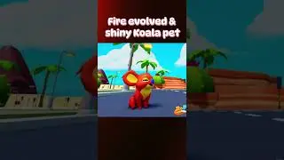 One of 5 versions of the Koala Pet #roblox #ropets #robloxpets #shorts