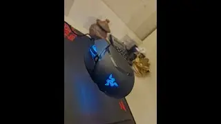 Мини обзор Мышки Razer Basilisk V3