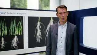 YaraVita SOLATREL - Fosfaat als bladmeststof in ma&iuml;s