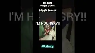 The REEL Hunger Games: Doggie Treats (Tay Kay Dee Vee)
