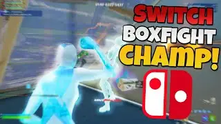The Gyro Nintendo Switch Boxfight CHAMP!