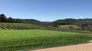 Pippin Hill Farm and Vineyard, North Garden, VA