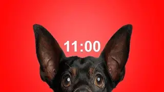 11 Minute Timer for School & Homework  Dog Bark Alarm Sound  Improve Focus & Productivity