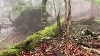 大台ケ原