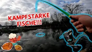 Forellenangeln: Sologlas und Paste bringen Forellen. #forellenangeln in Bavendorf #forellensee