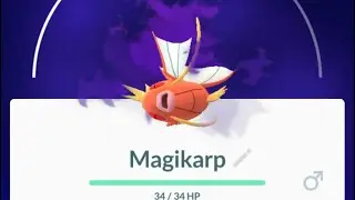 Shadow Margikarp Team Rocket Balloon .47%