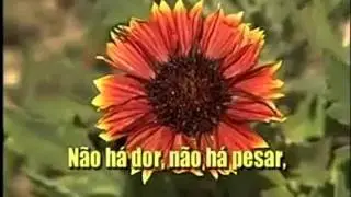 Amor no Lar, Hinario Adventista  N&ordm; 453