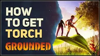How to get Torch Grounded