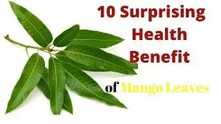 10 Surprizing Health Benefit of Mango Leaves That's Will Amaze You!
