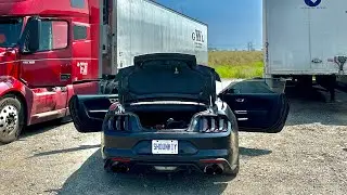 Drone View 🦅  #mustanggt