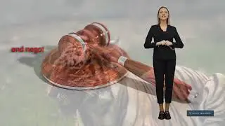 Should you get a lawyer after a car crash in Beaumont, TX?