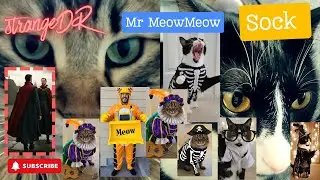 StrangeDR & The Cats Try on 200 Hilarious Costumes! 👑🐾🎭 #SockTheCat #StrangeDR #SockAndMeow