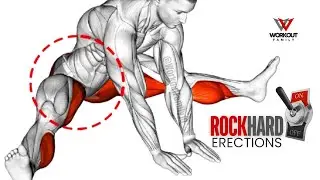 10 Best Stretching Exercises for Pelvic Region | Increase Blood Circulation for Erectile Health