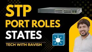 States of STP Protocol and the Port Roles Assignment