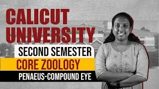 PENAEUS SENSE ORGAN | COMPOUND EYES | STATOCYST | CORE ZOOLOGY | SECOND SEMESTER| CALICUT UNIVERSITY